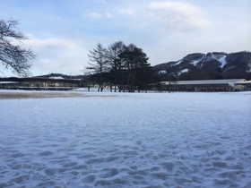 明けましておめでとうございます。