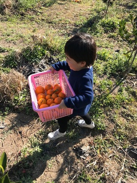 12月ですねぇ